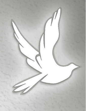 Frank J. Walter Obituary