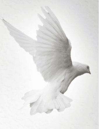 Kathleen Ann (Langis) Baribeau Obituary